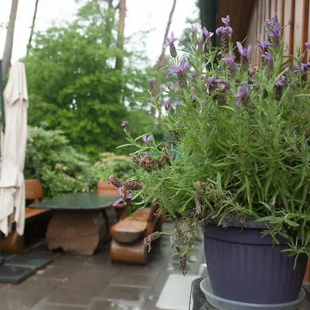 Heidehaus Lippl Am Steinhuder Meer Rehburg-Loccum