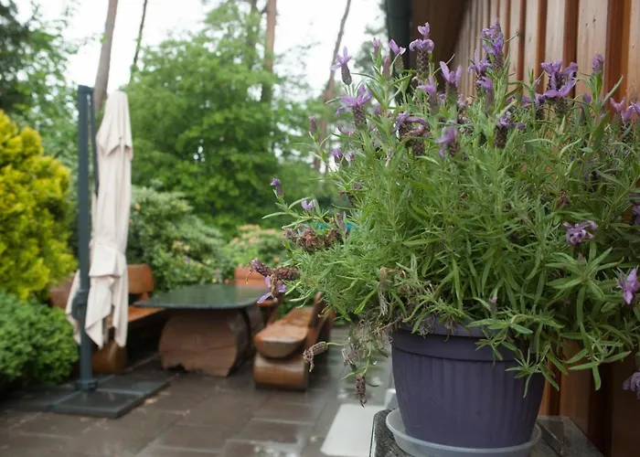 Heidehaus Lippl Am Steinhuder Meer Rehburg-Loccum